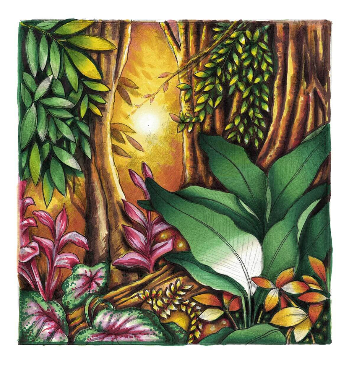 Chameleon Color & Blending System 7 voorbeeld