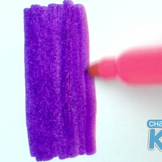 Chameleon Kidz video