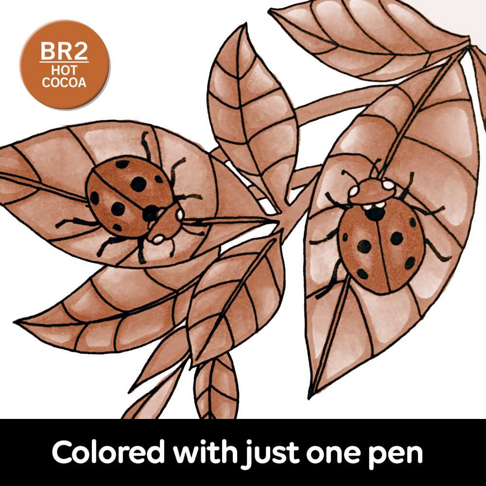 Chameleon Marker - Hot Cocoa BR2 - CT0115