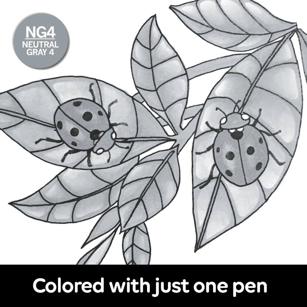 Chameleon Marker - Neutral Gray NG4 - CT0148