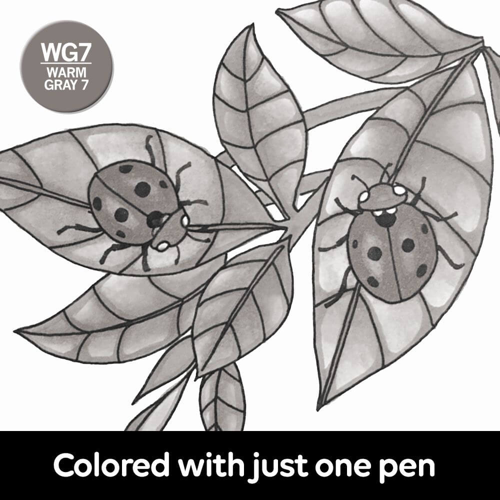 Chameleon Marker - Warm Gray 7 WG7 - CT0152