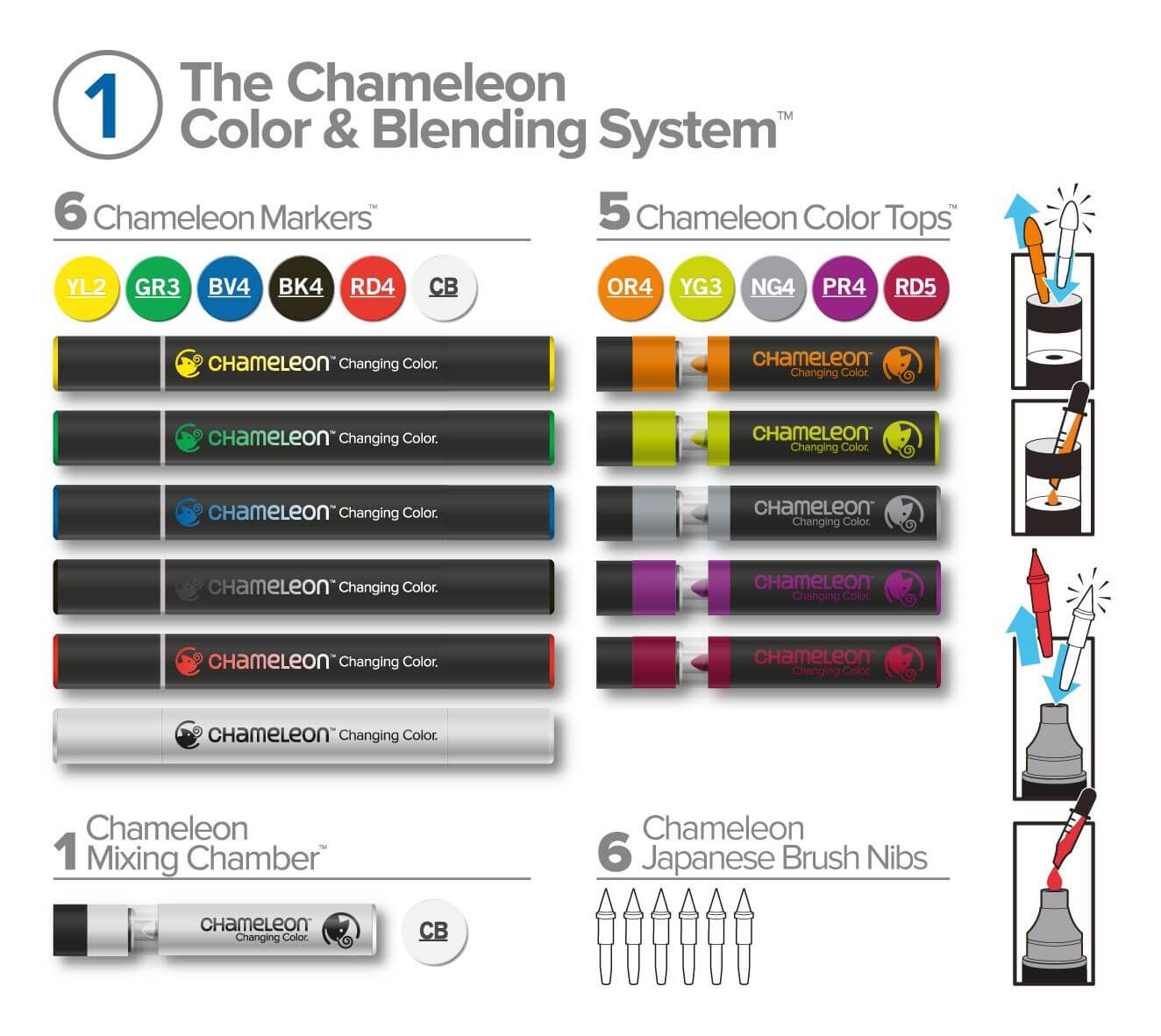 Chameleon Nederland – Chameleon Arts