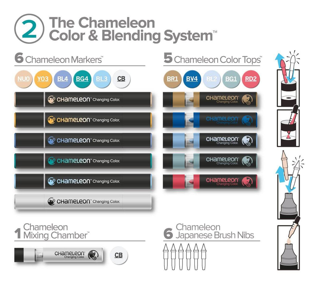 Chameleon Nederland – Chameleon Arts